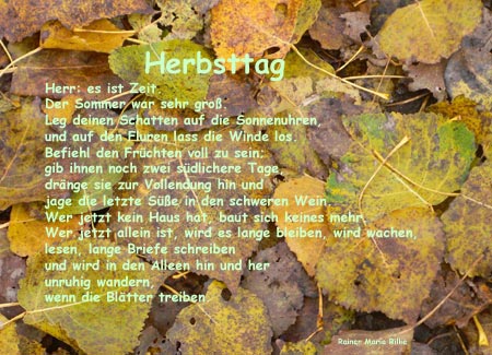 Dieses Bild ist nicht vorhanden.
