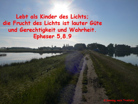 Dieses Bild ist nicht vorhanden.
